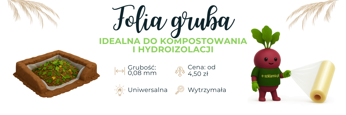 Banner na strone folia)