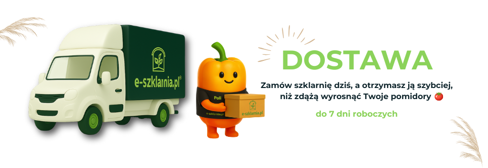 Dostawa