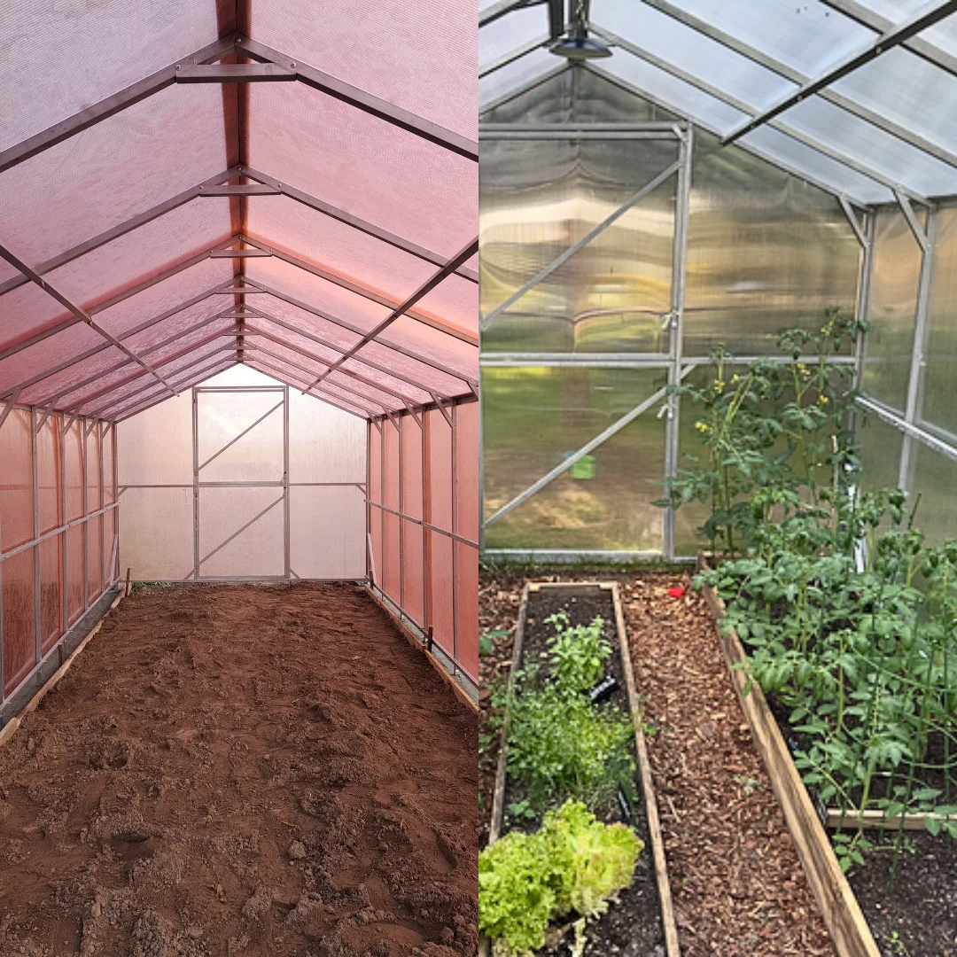 Na co zwrócić uwagę przy wyborze szklarni