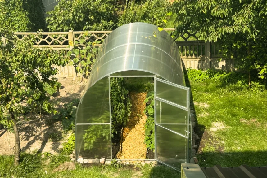 zdjęcie 9 Jak wybrać szklarnię?