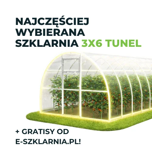 najczęściej wybierana szklarnia 3x6 tunel