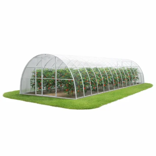 Szklarnia z poliwęglanu 3,5x10 m z uprawą pomidorów w środku