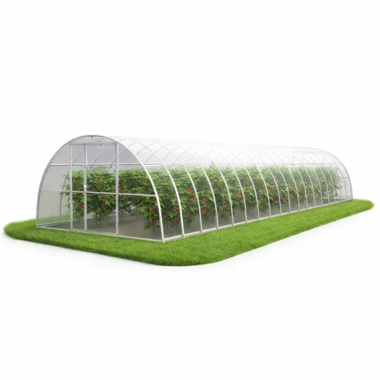 Szklarnia z poliwęglanu 3,5x12 m z uprawą pomidorów