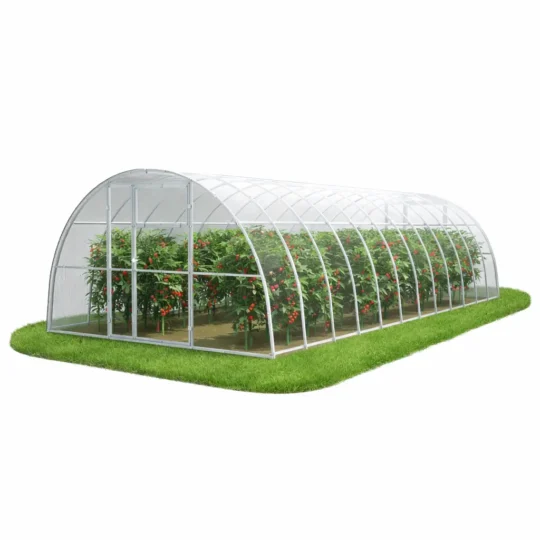 Szklarnia z poliwęglanu 3,5x8 m z uprawą pomidorów