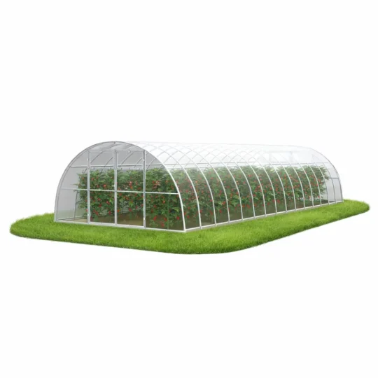 Szklarnia z poliwęglanu 4x10 m z uprawą pomidorów w środku