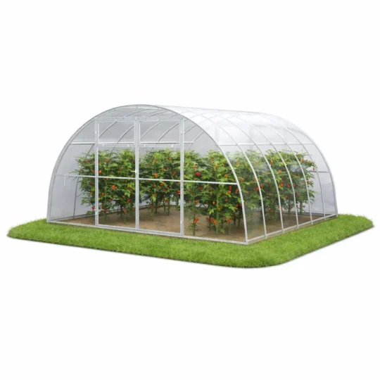 Szklarnia z poliwęglanu 4x4 m z uprawą warzyw w środku