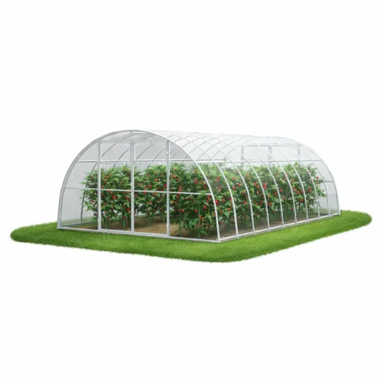 Szklarnia z poliwęglanu 4x6 m z uprawą pomidorów w środku