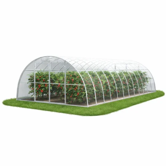 Szklarnia z poliwęglanu 4x8 m z uprawą pomidorów i warzyw