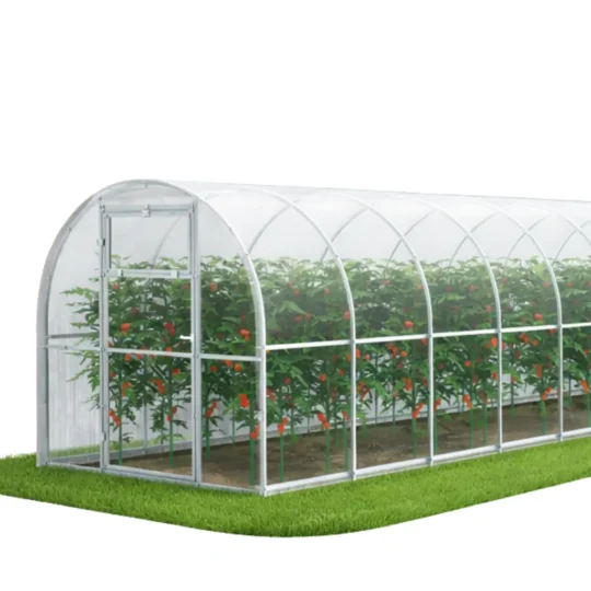 Duża szklarnia ogrodowa z poliwęglanu 2,4 × 10 m do uprawy pomidorów i warzyw