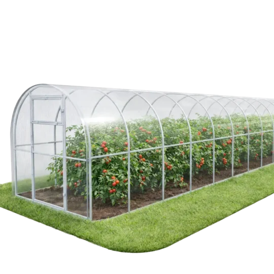 Szklarnia ogrodowa z poliwęglanu 2 × 10 m z uprawą pomidorów wewnątrz.