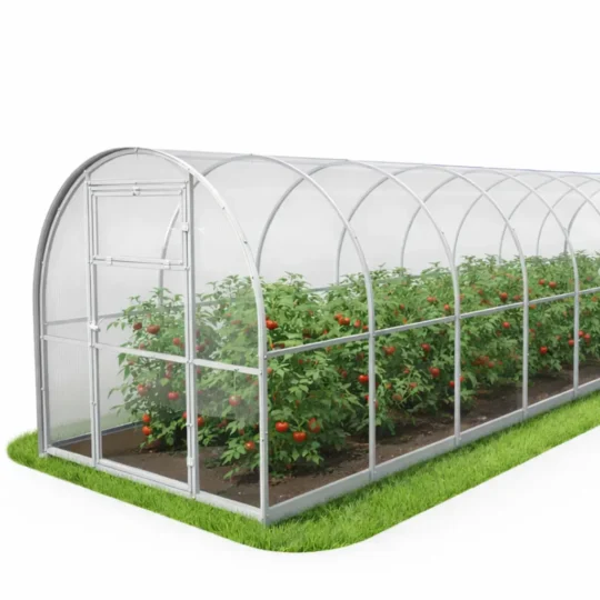 Szklarnia ogrodowa z poliwęglanu 2 × 8 m z łukową konstrukcją i roślinami pomidorów.