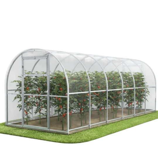Szklarnia ogrodowa z poliwęglanu 2,4 × 6 m z rzędami pomidorów w środku