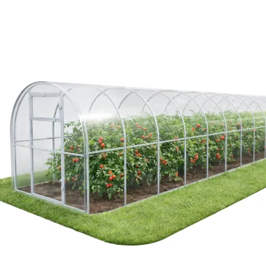 Szklarnia ogrodowa z poliwęglanu 2 × 12 m z rzędami pomidorów wewnątrz.