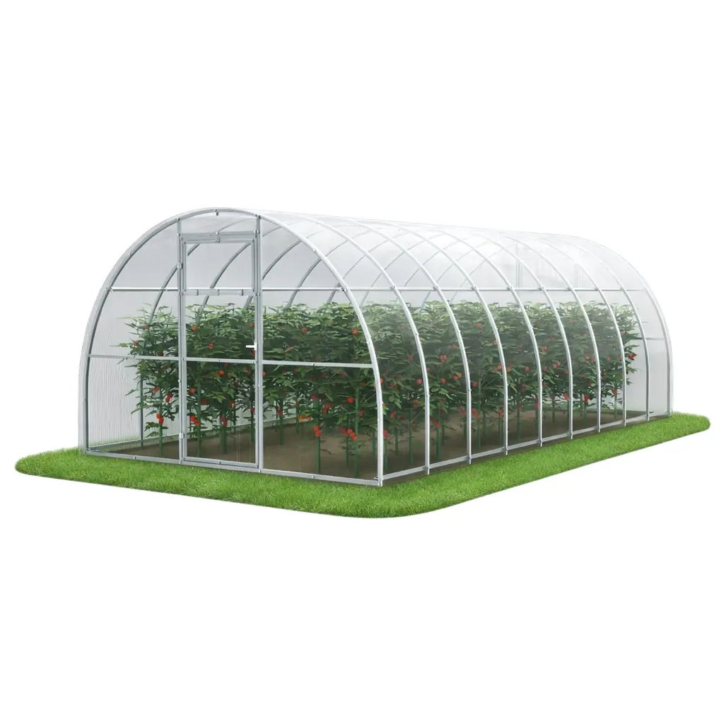 Szklarnia ogrodowa z poliwęglanu 3×6 m do uprawy pomidorów i warzyw