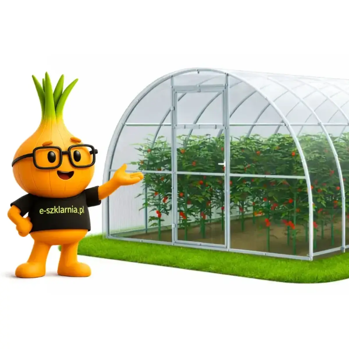 Szklarnia z poliwęglanu montaż i uprawa pomidorów poradnik e-szklarnia