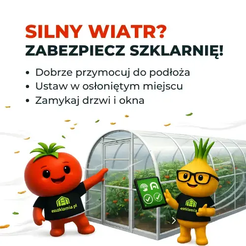 jak-zabezpieczyc-szklarnie-przed-wiatrem-tunel-ogrodowy-porady