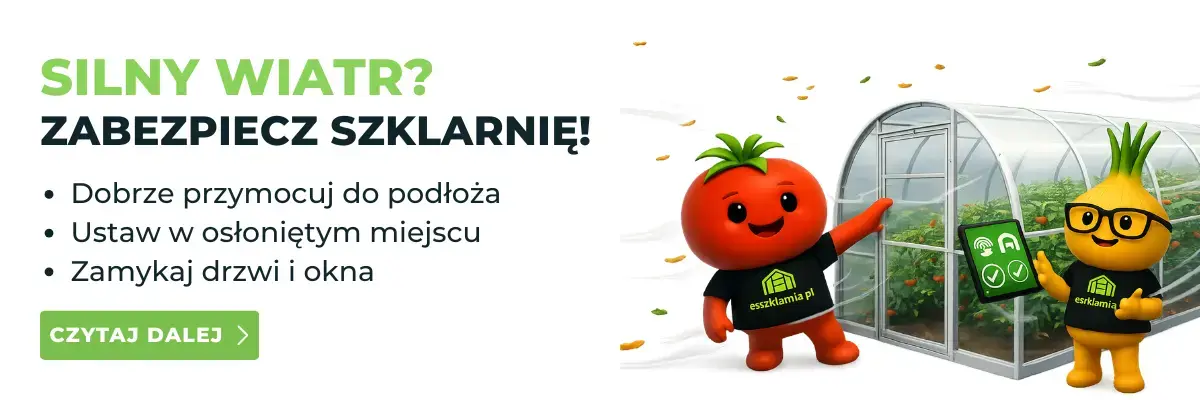 silny-wiatr-jak-zabezpieczyc-szklarnie-tunel-ogrodowy-porady
